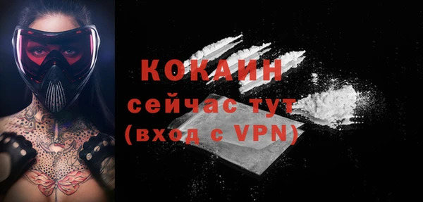 a pvp Ельня