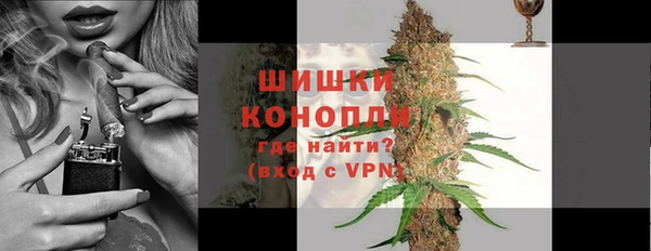a pvp Ельня