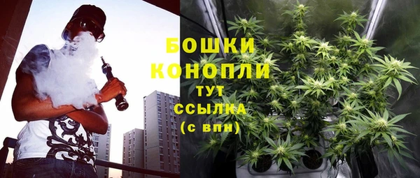 гидропоника Елабуга