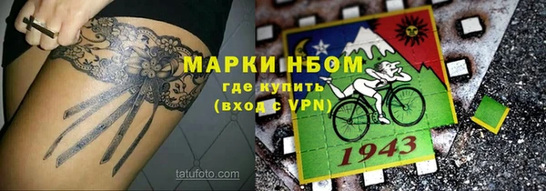 Альфа ПВП Елизово