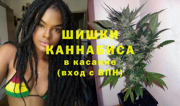 стаф Шали