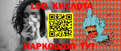дживик Камышлов