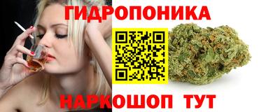 apvp Кандалакша