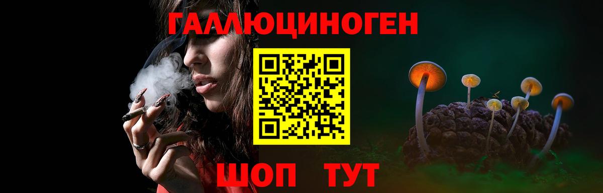 Пыть-Ях  Псилоцибиновые грибы ЛСД  Вход с VPN 